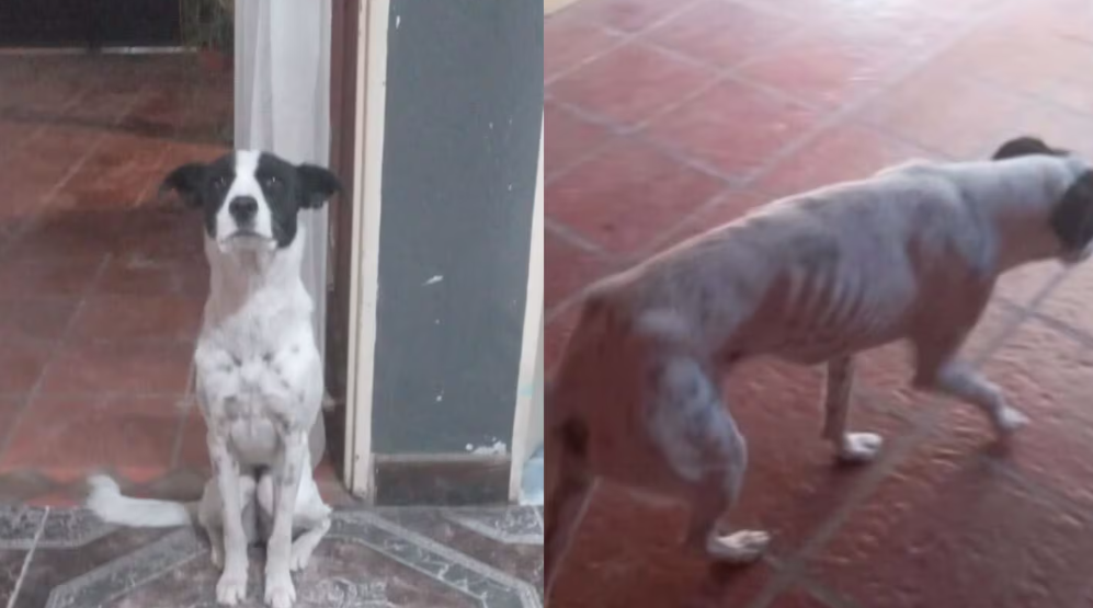 Captura de pantalla 2026-03-20 104548