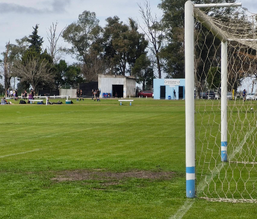 Captura de pantalla 2026-04-29 125636